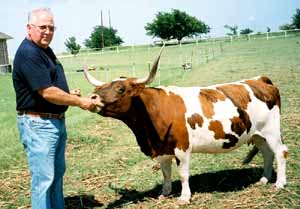 long horn