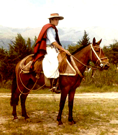 Day of the Gaucho Waning in Argentina – Richard Beal