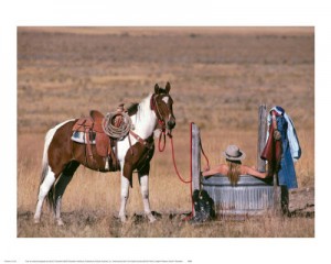 david-stoecklein-cowgirl-in-heaven