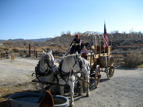 wagon