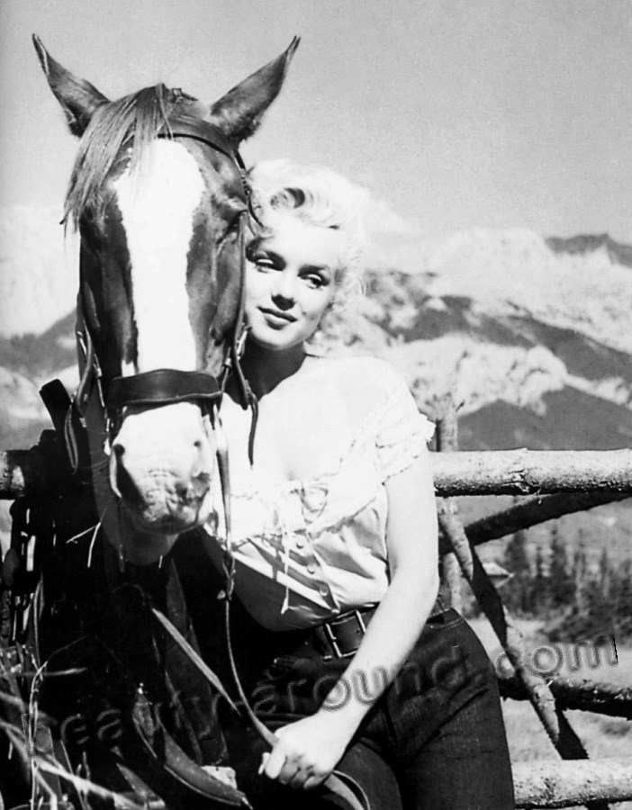 5.monro