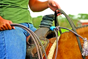 horn-knot-1-300x200